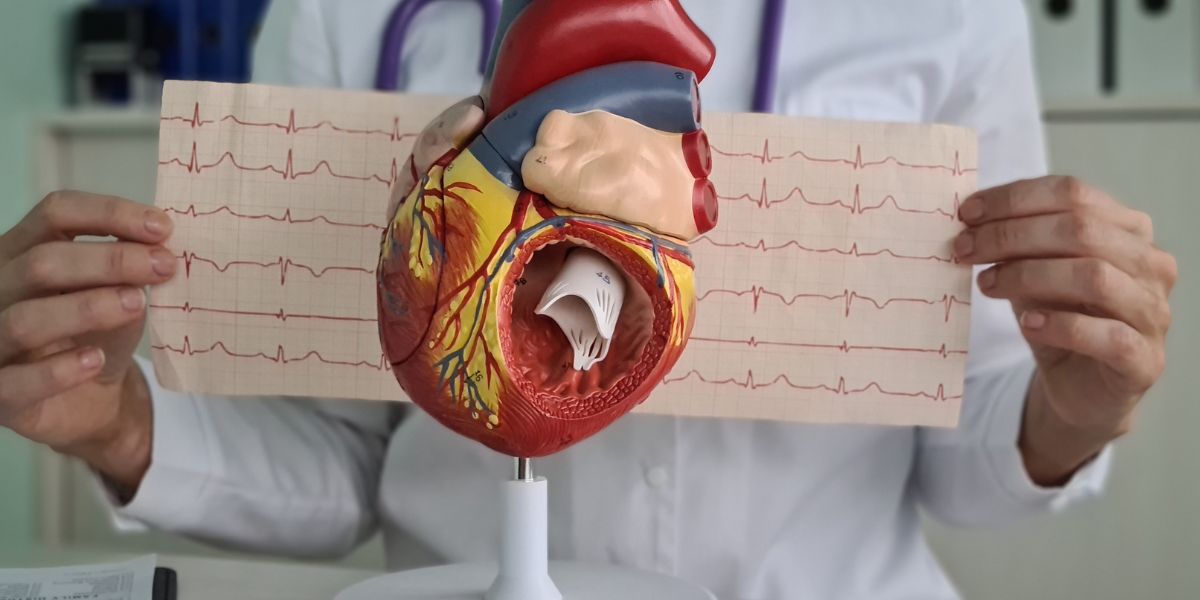 Entenda Qual a Diferença Entre ECG e Ecocardiograma