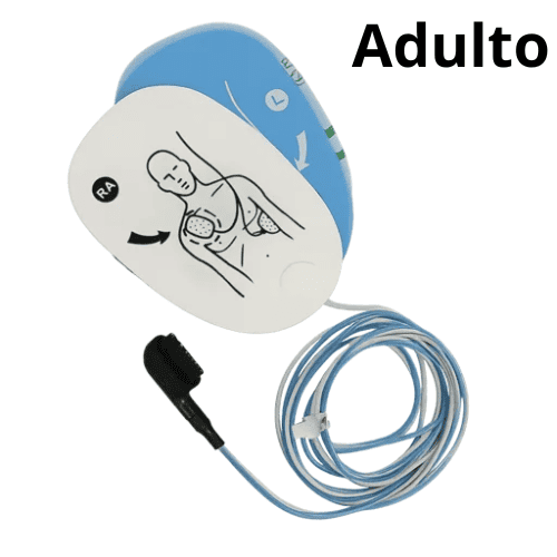 pa-dea-alive-adulto