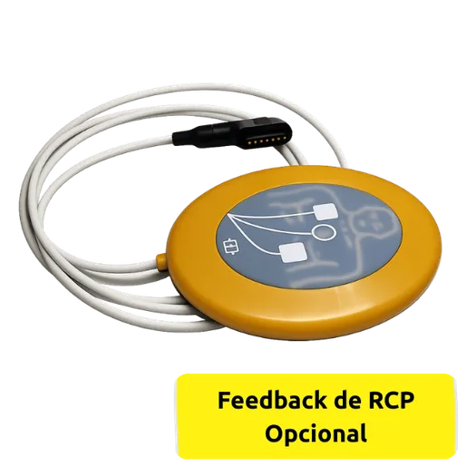 RCP DEA Alive