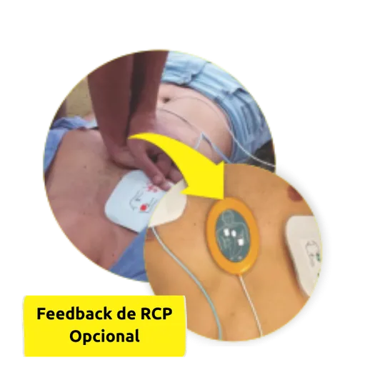 RCP DEA Alive em uso